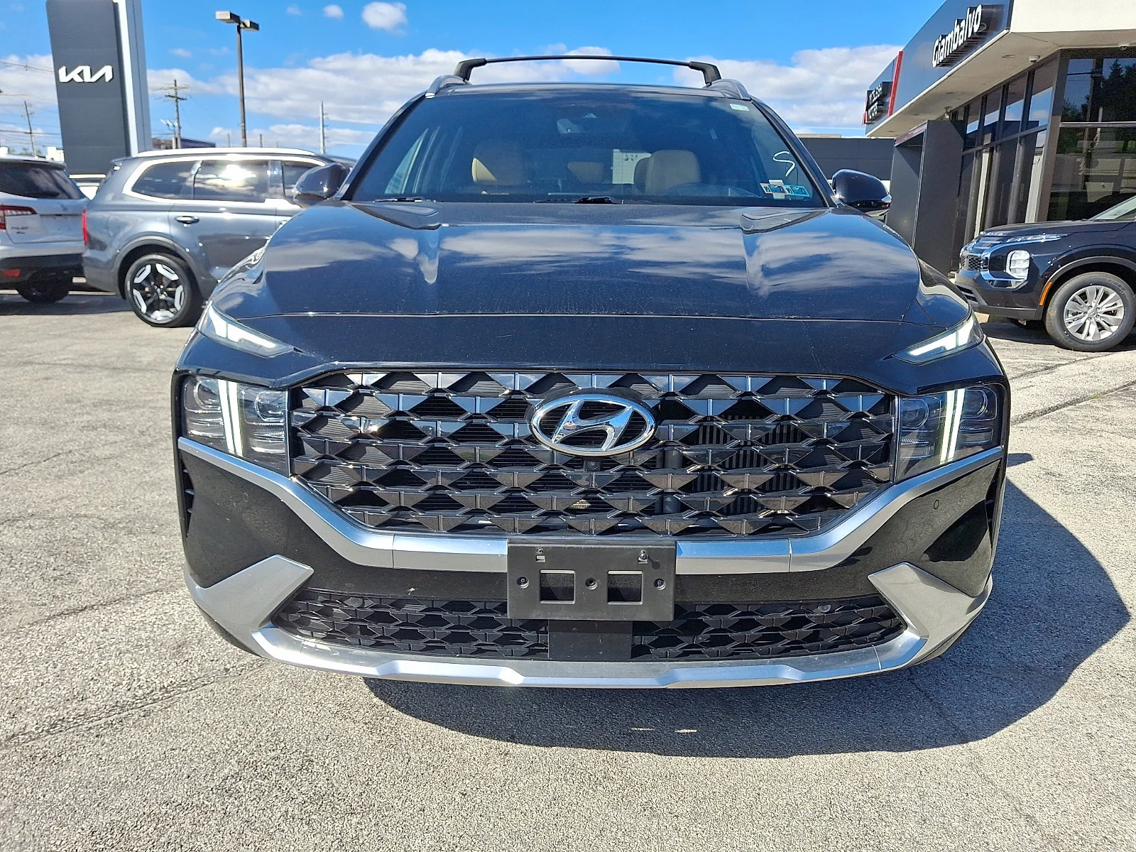 Used 2023 Black Hyundai Calligraphy image 2