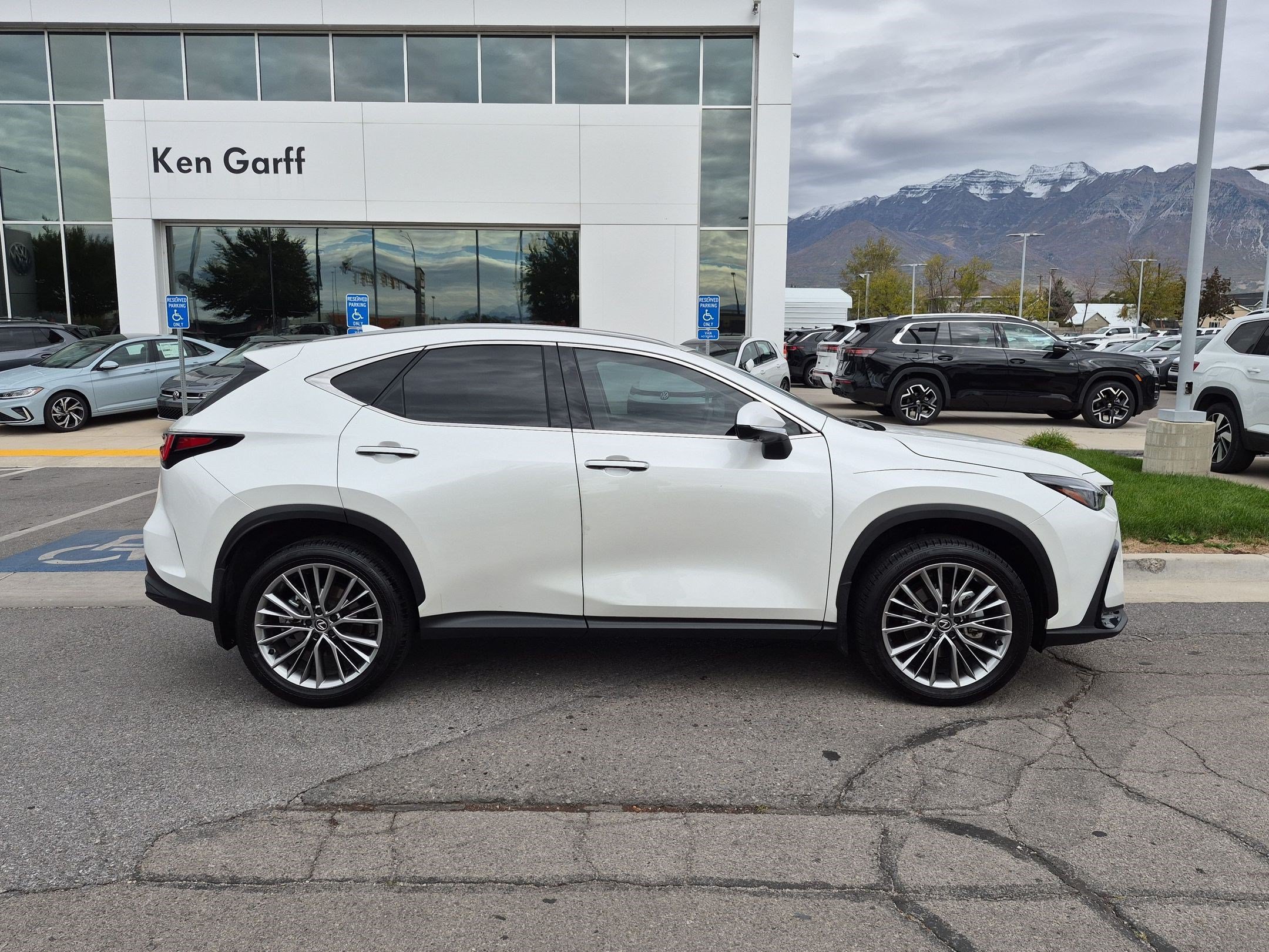 Used 2025 White Pearl Lexus NX 350 Premium image 2