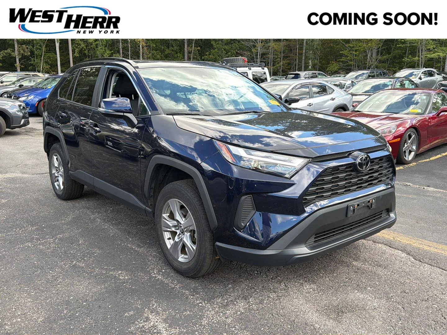 Used 2024 Blueprint Toyota XLE image 1