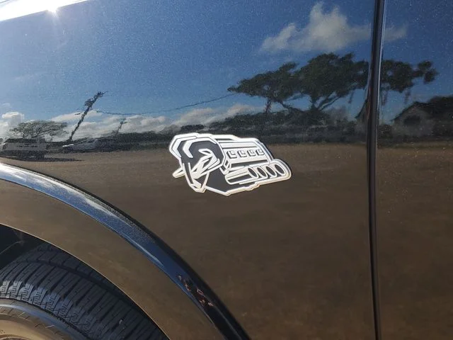 New 2026 Diamond Black Crystal Pearl-Coat Exterior Paint RAM Big Horn/Lone Star image 9