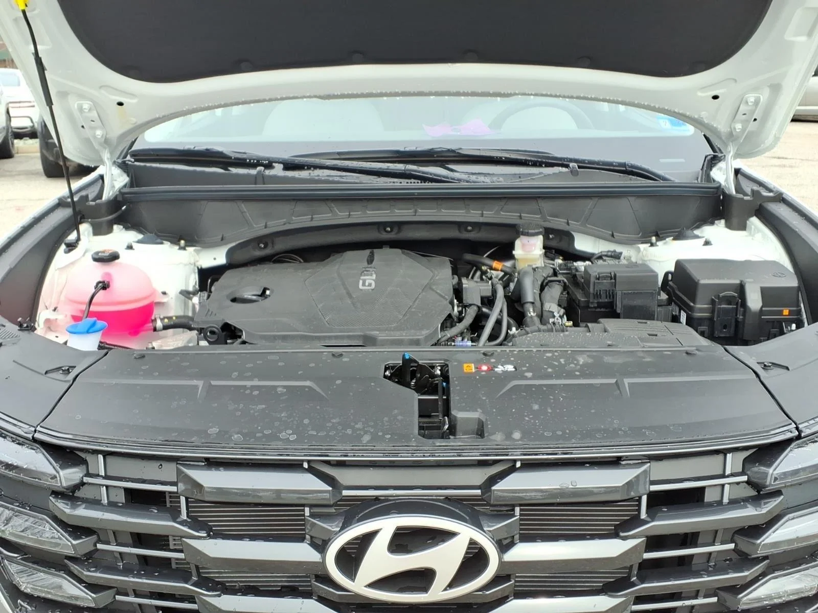 Used 2026 Serenity White Pearl Hyundai SEL image 36