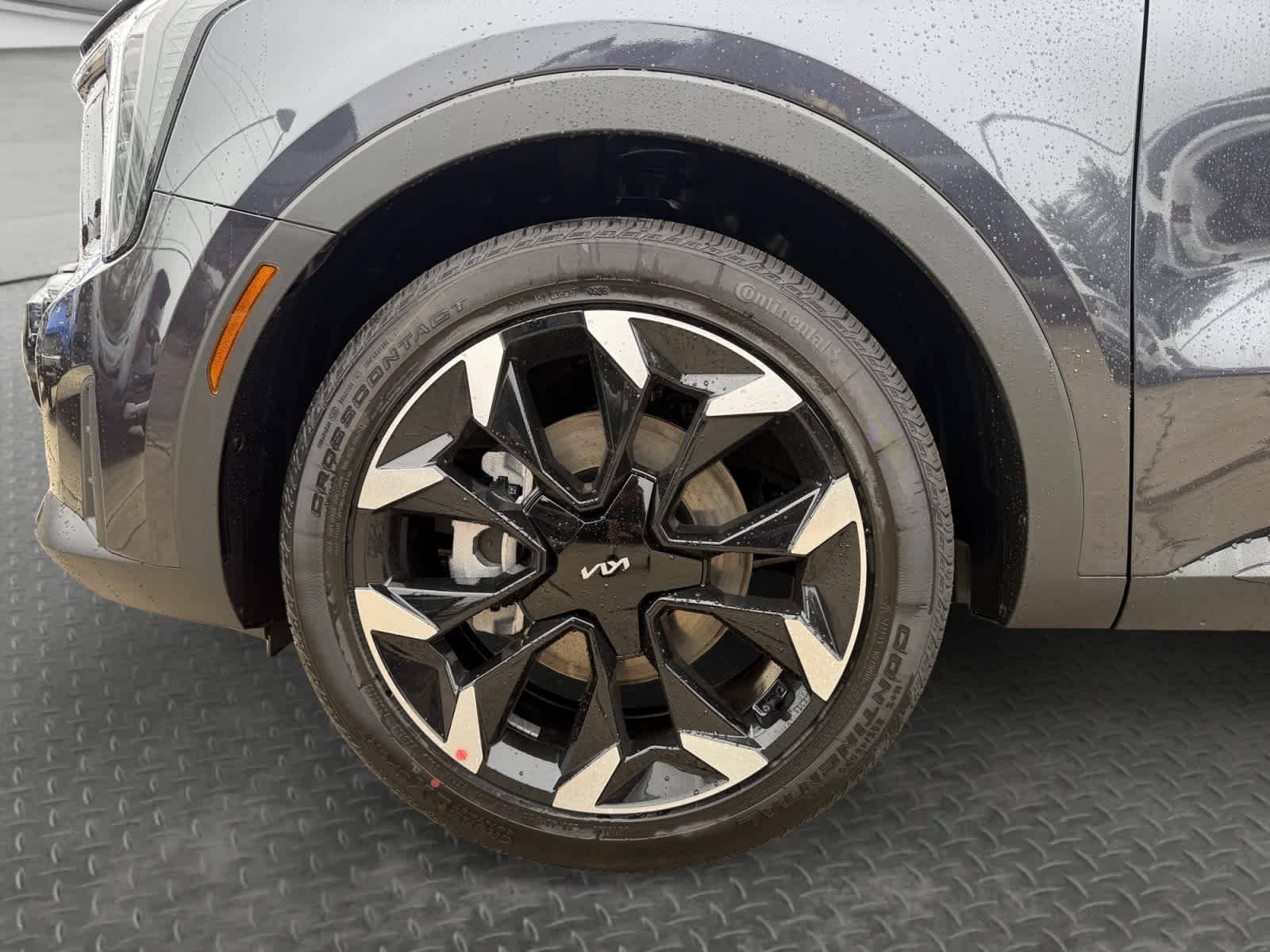 New 2026 Panthera Metal Kia EX image 9