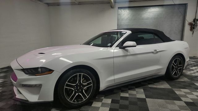 Used 2023 White Ford EcoBoost Premium image 5