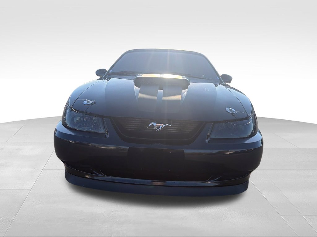 Used 2004 Black Ford GT image 8