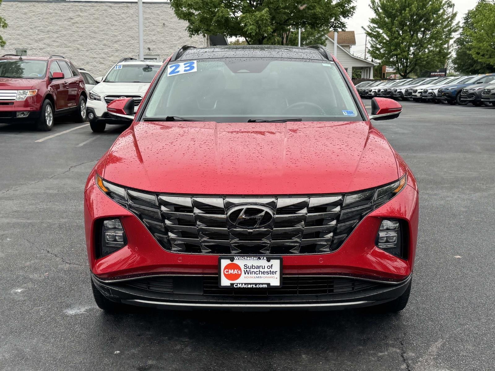 Used 2023 Calypso Red Hyundai Limited image 5