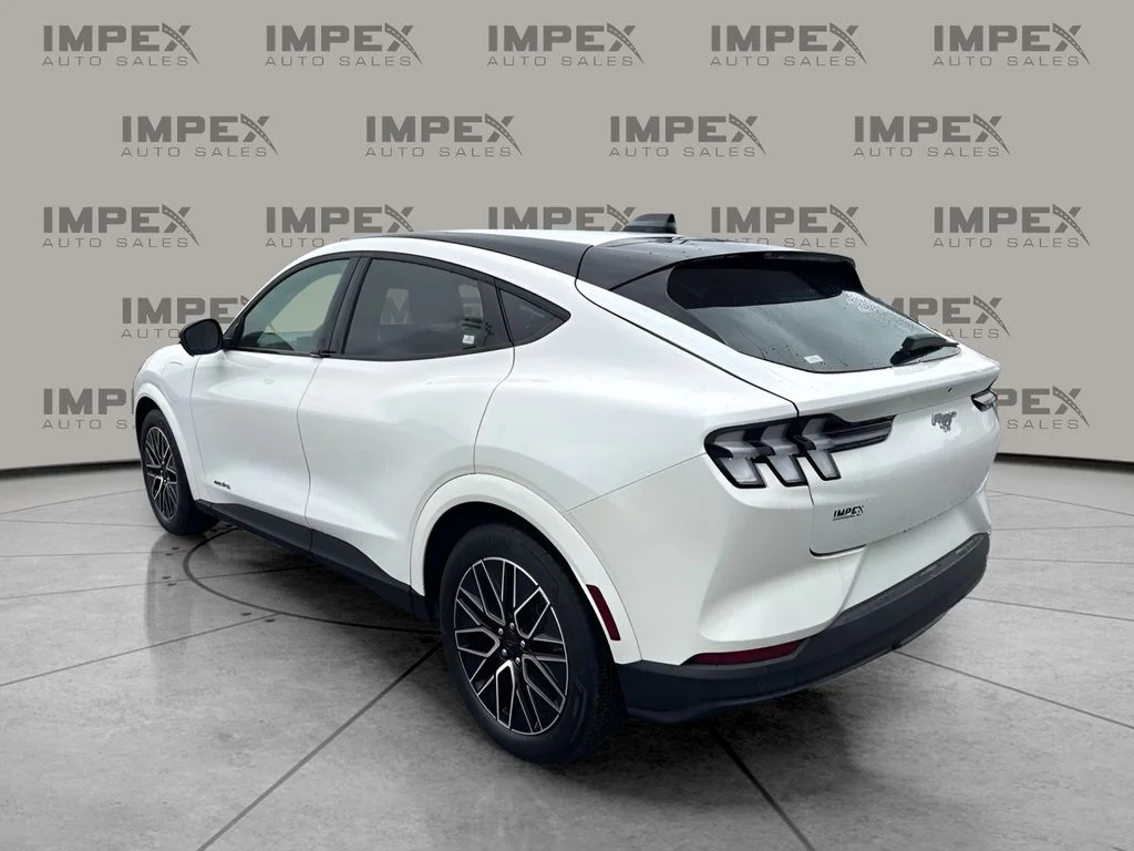 Used 2025 White Ford Premium image 2
