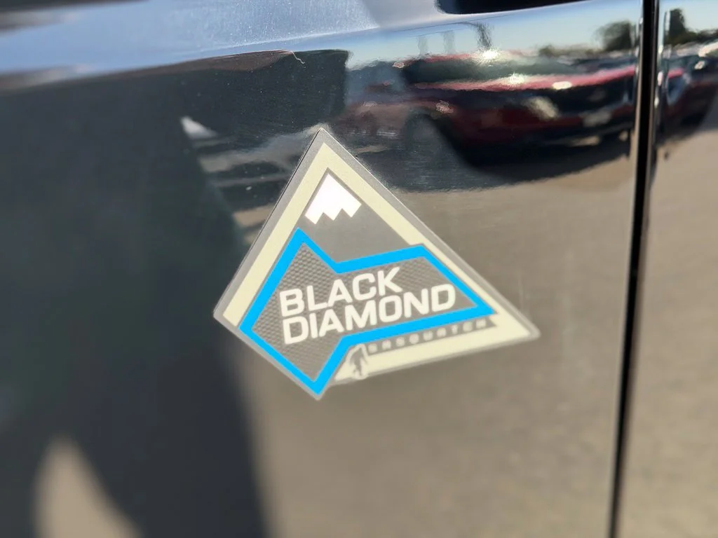 Used 2023 Black Ford Black Diamond image 24