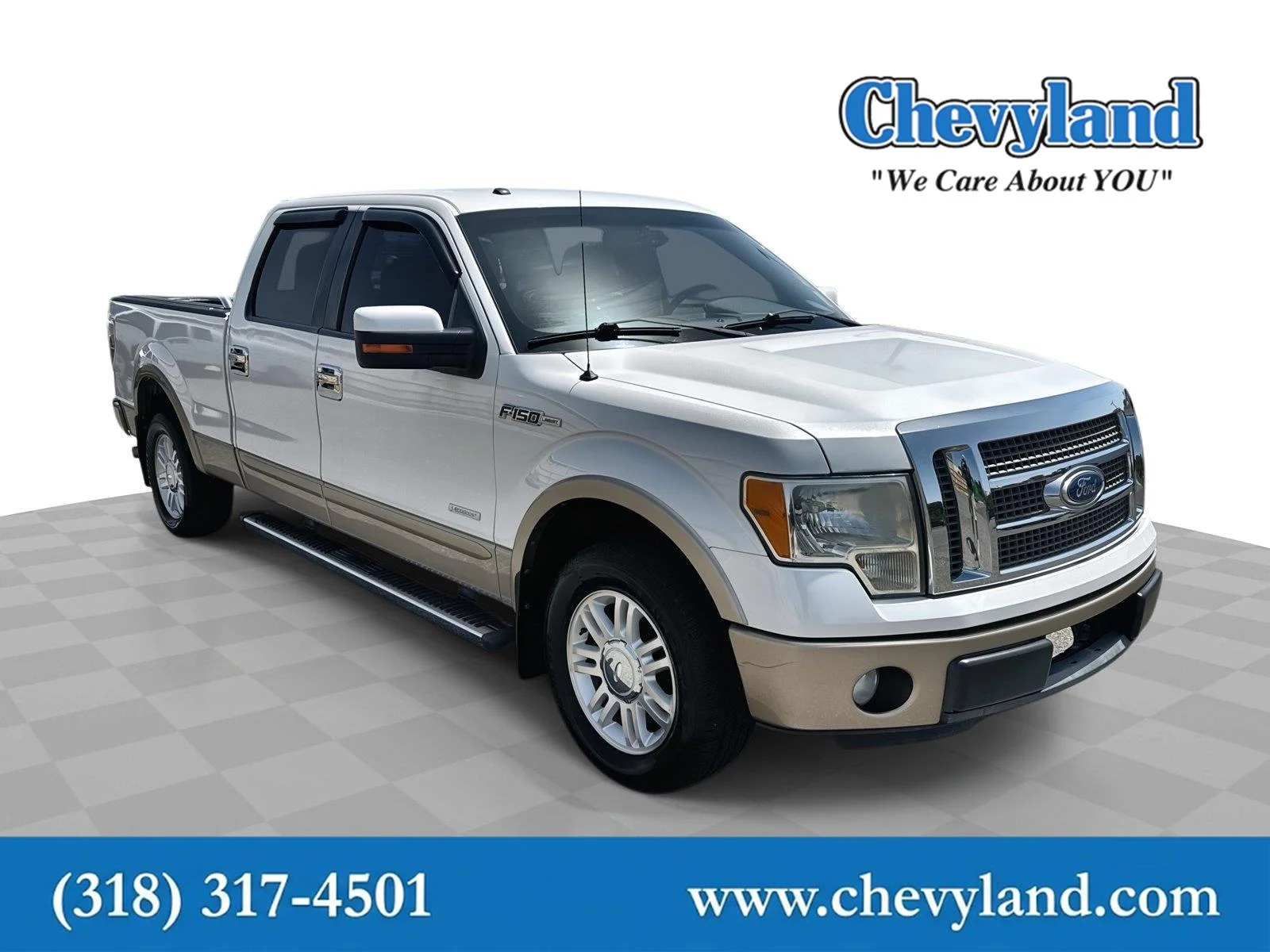 2011 FORD F-150