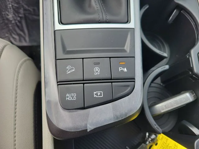 New 2026 Panthera Metal Kia EX image 20
