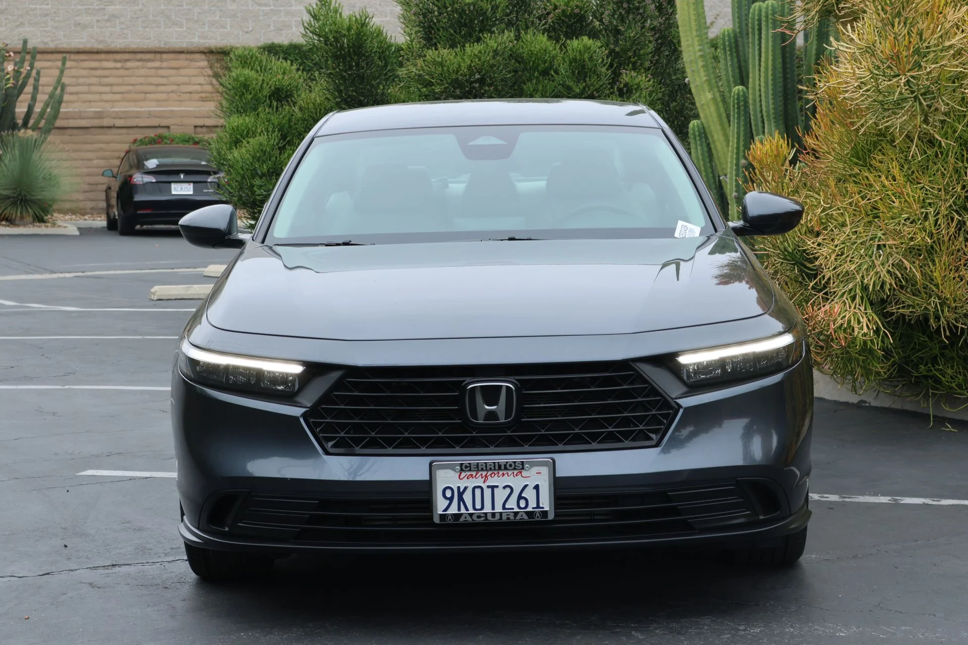 Used 2024  Honda LX image 3