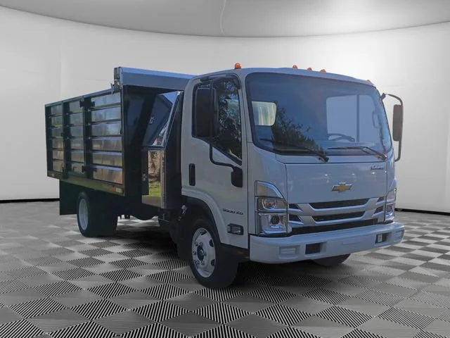 New 2025 Arc White Chevrolet  image 7