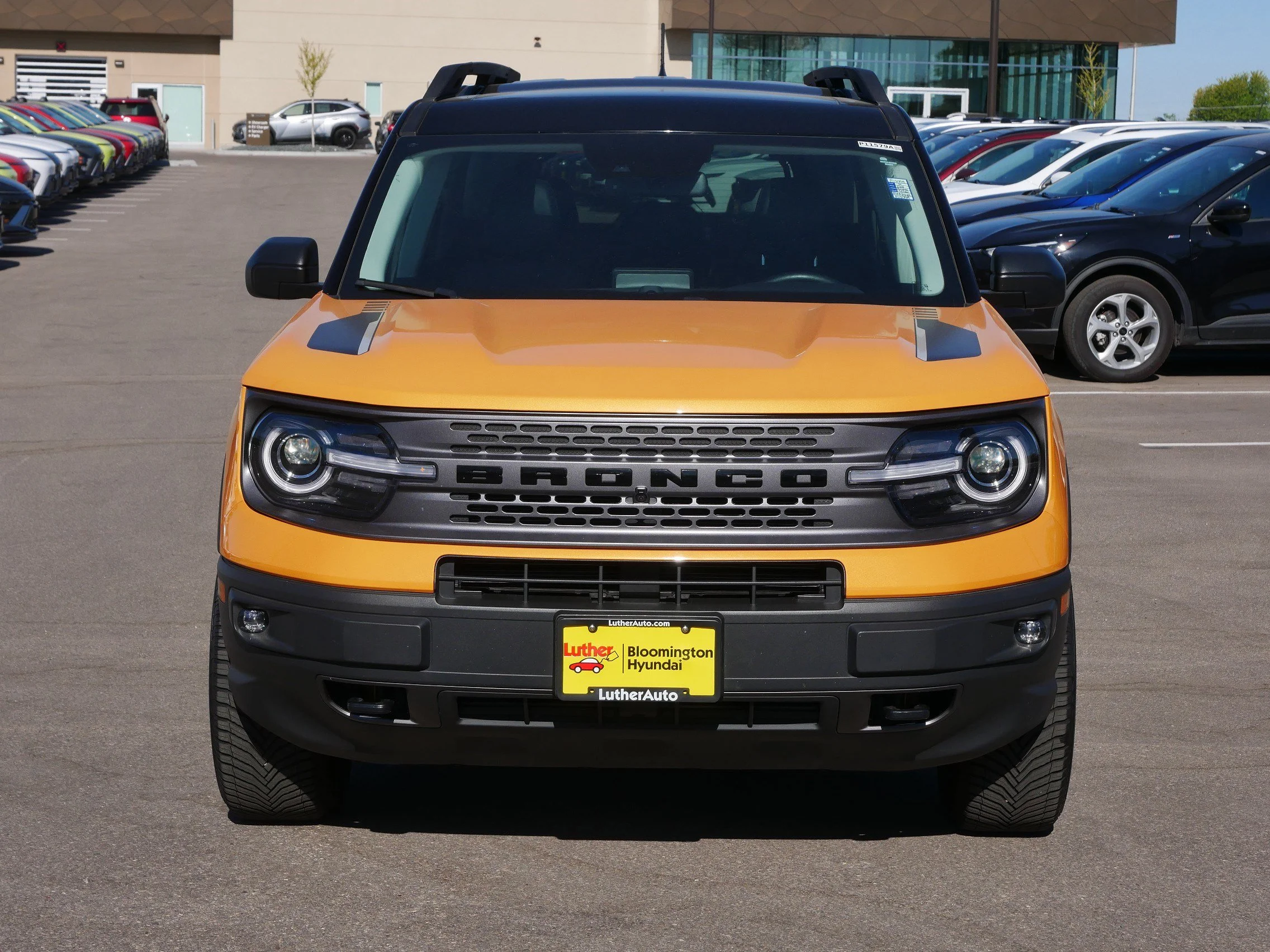 Used 2021 Ford Bronco Sport First Edition with VIN 3FMCR9F98MRA34167 for sale in Bloomington, Minnesota