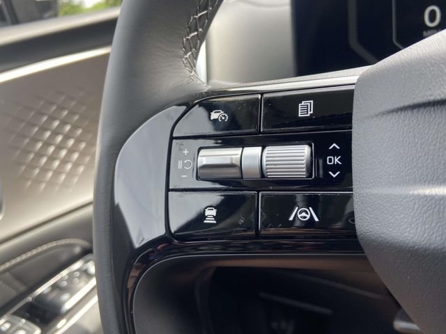 New 2026 Panthera Metal Kia SX image 15