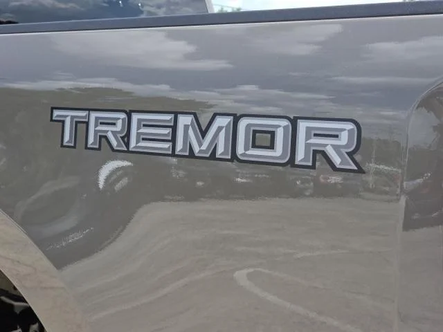 New 2026 Marsh Gray Ford F-250® XLT image 28