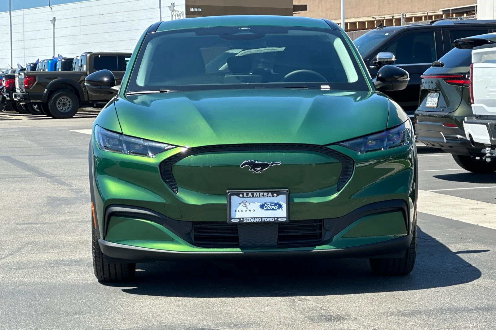 New 2026 Eruption Green Metallic Ford Select image 8