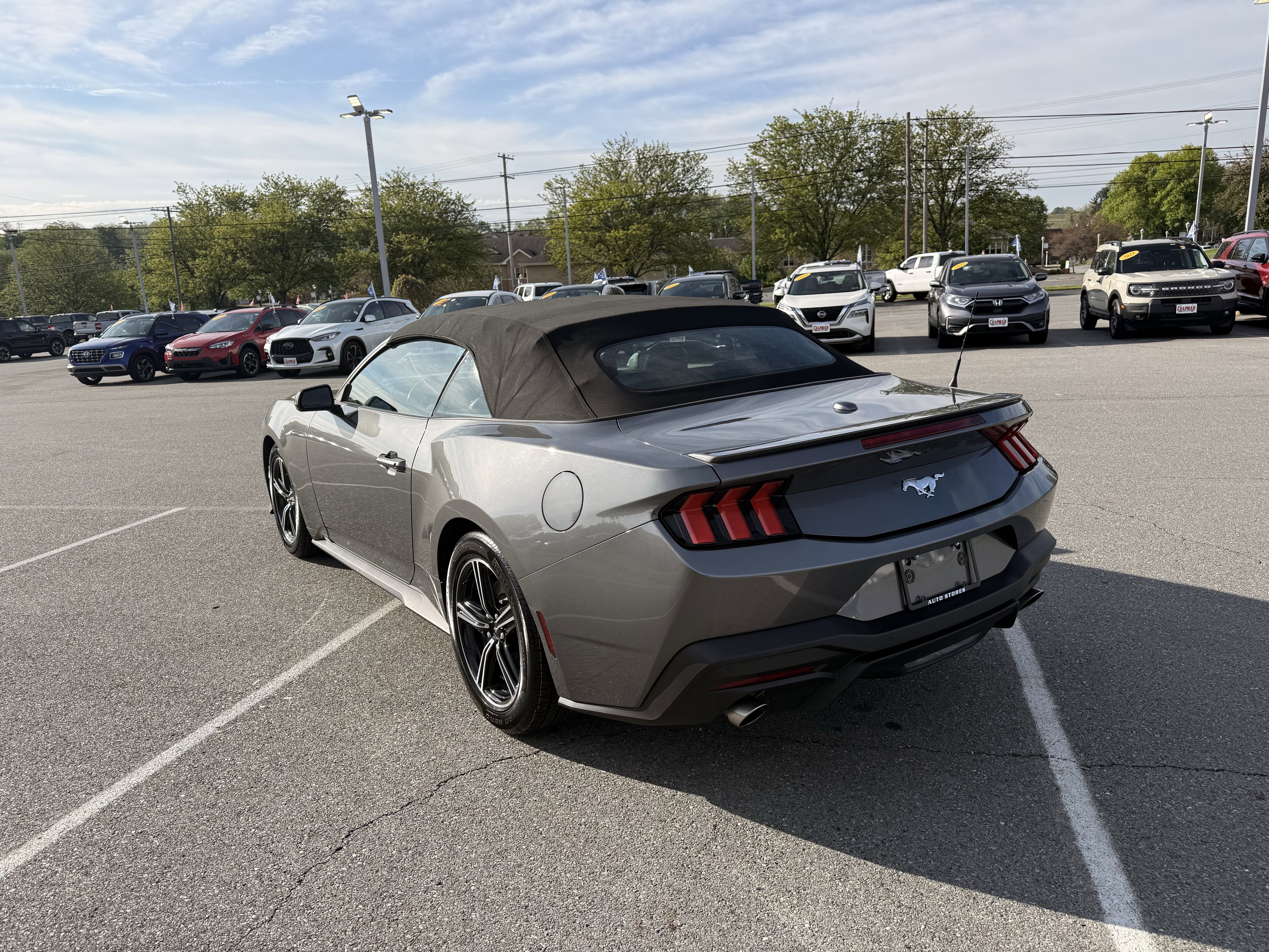 Used 2025 Gray Metallic Ford EcoBoost Premium image 5