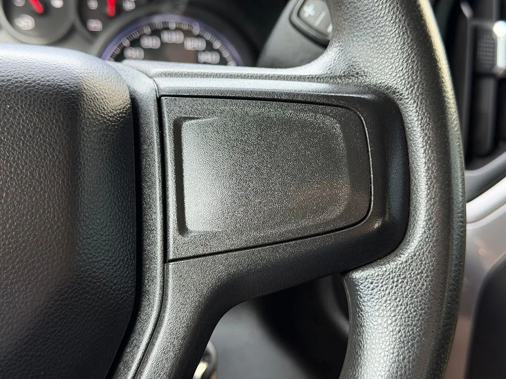 Used 2019 Gray Chevrolet Custom Trail Boss image 19