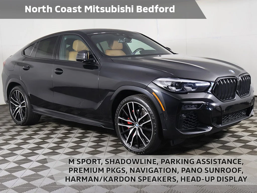 2023 BMW X6