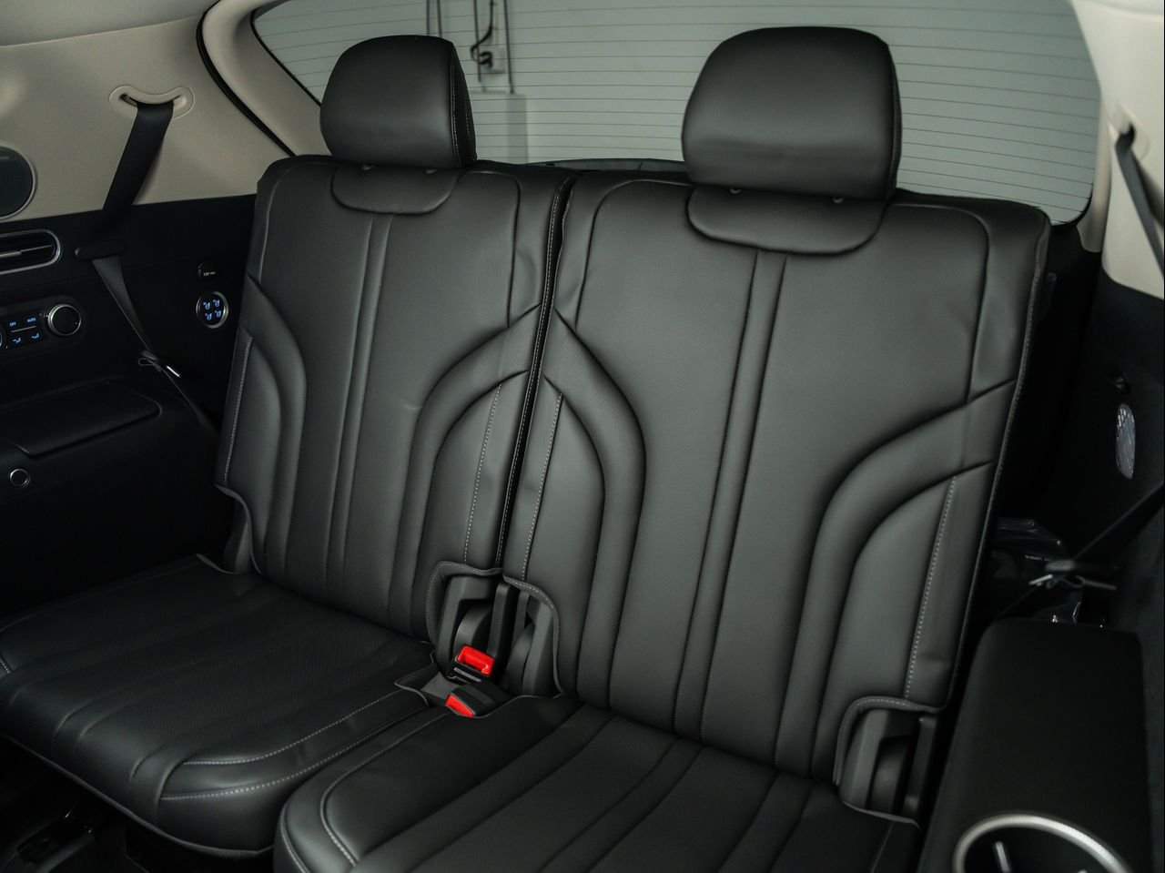 New 2026 Vik Black Genesis 2.5T PRESTIGE image 30