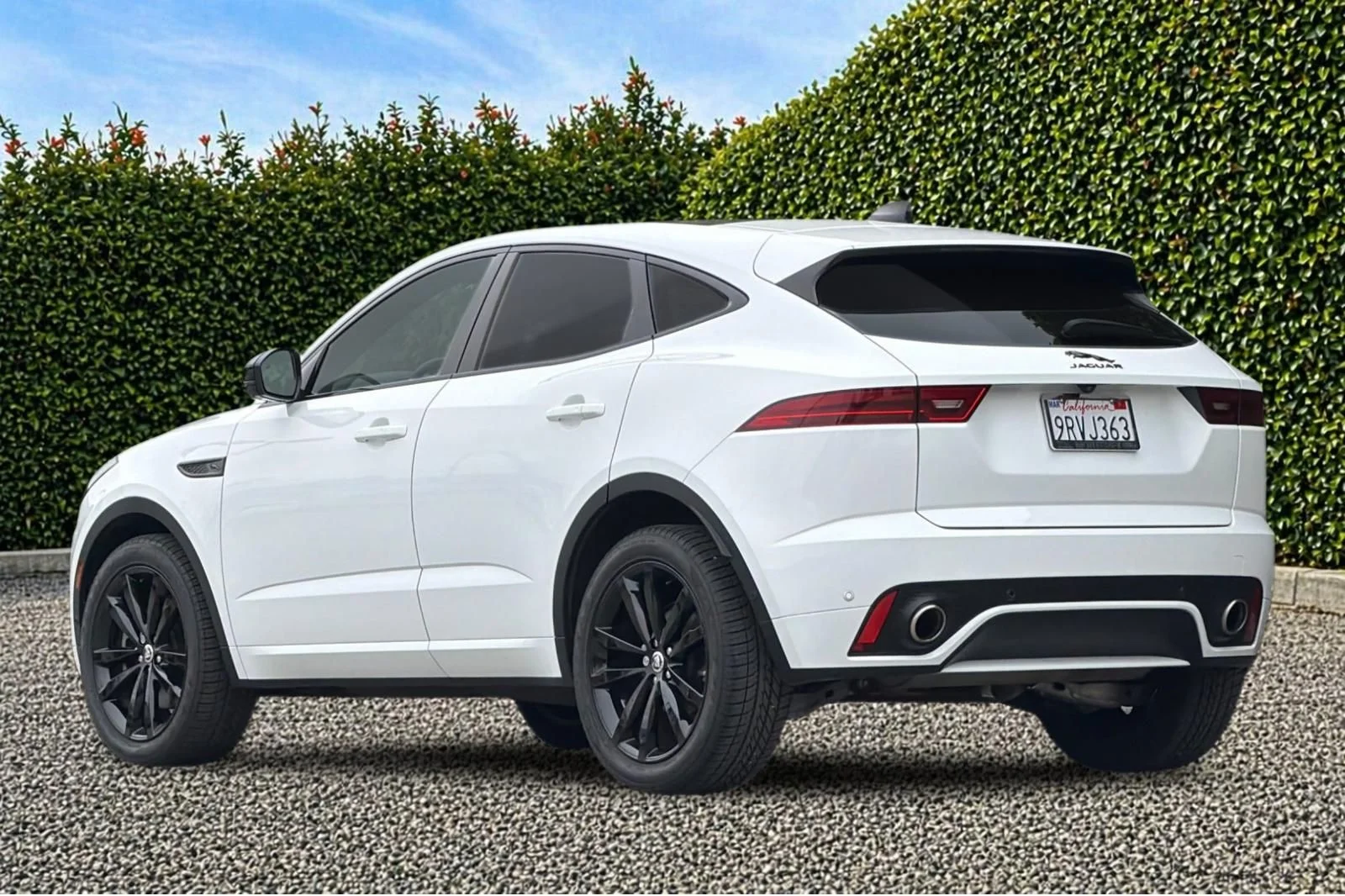Used 2024 White Jaguar P250 image 6