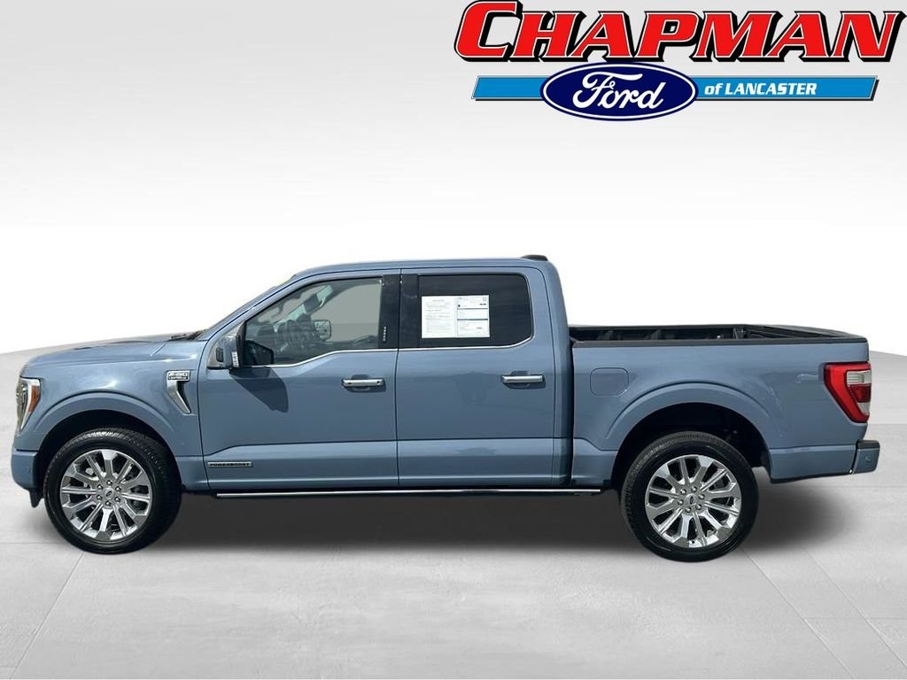 Certified Used 2023 Azure Gray Metallic Ford Limited image 3