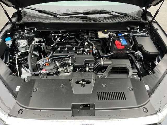 New 2026 Meteorite Gray Metallic Honda LX image 29