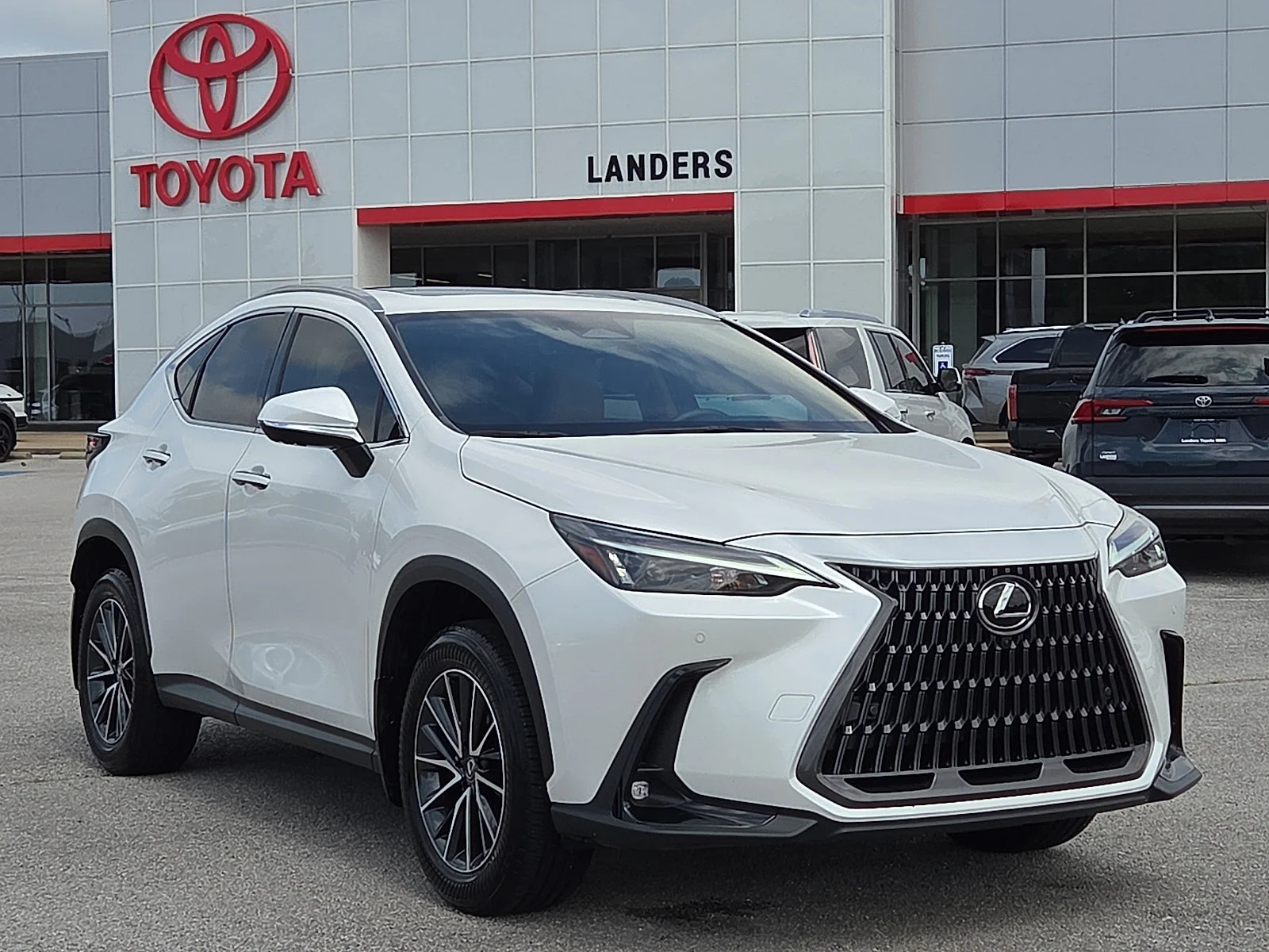 2025 Lexus NX 350 350 Premium AWD's photo