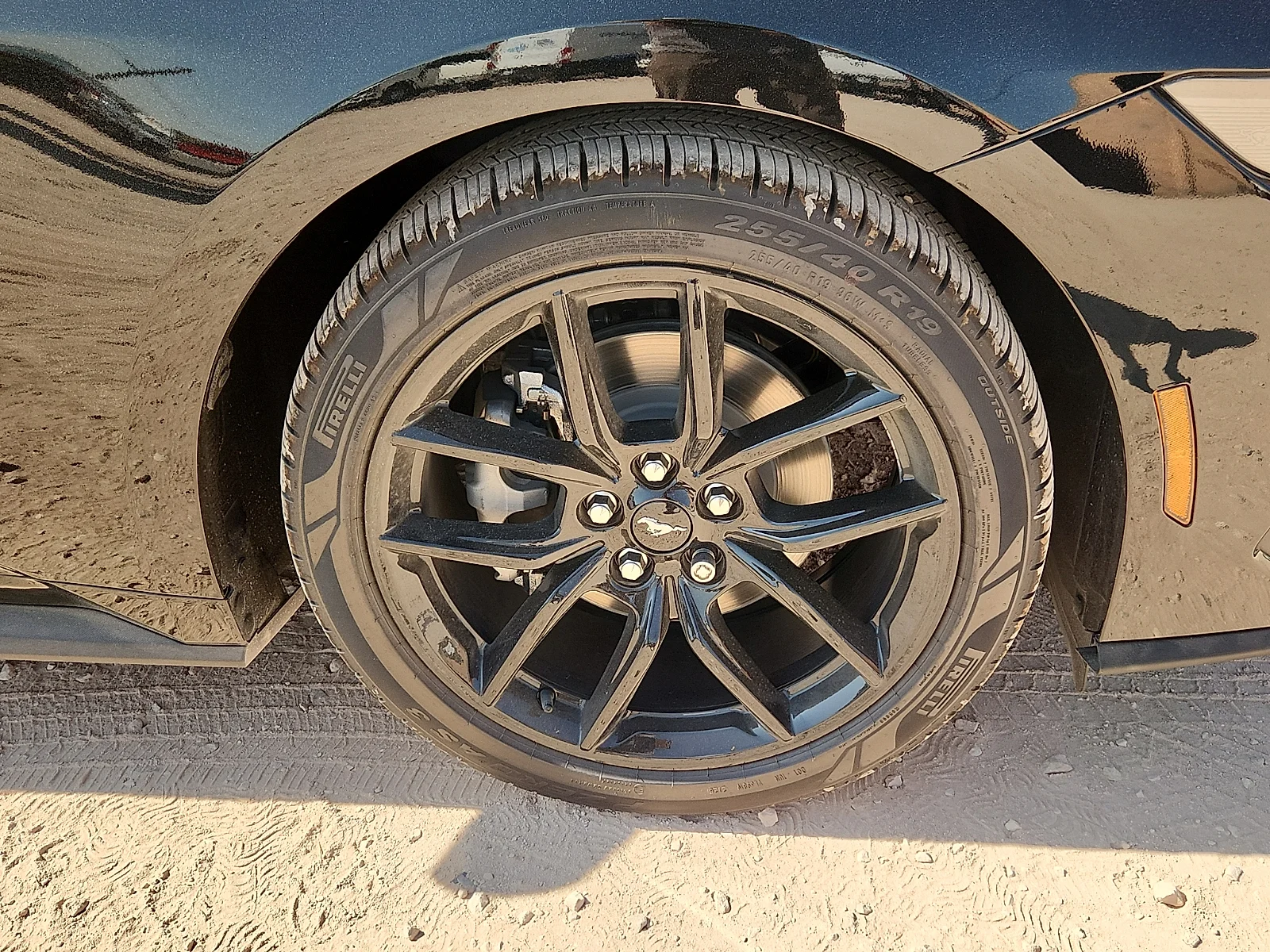 New 2026 Shadow Black Ford EcoBoost image 9