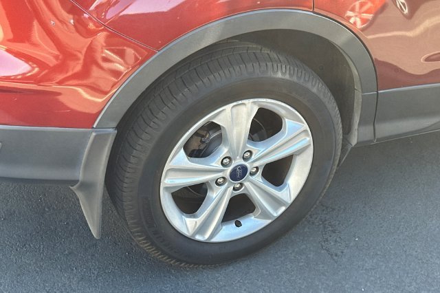 Used 2014 Orange Ford SE image 4