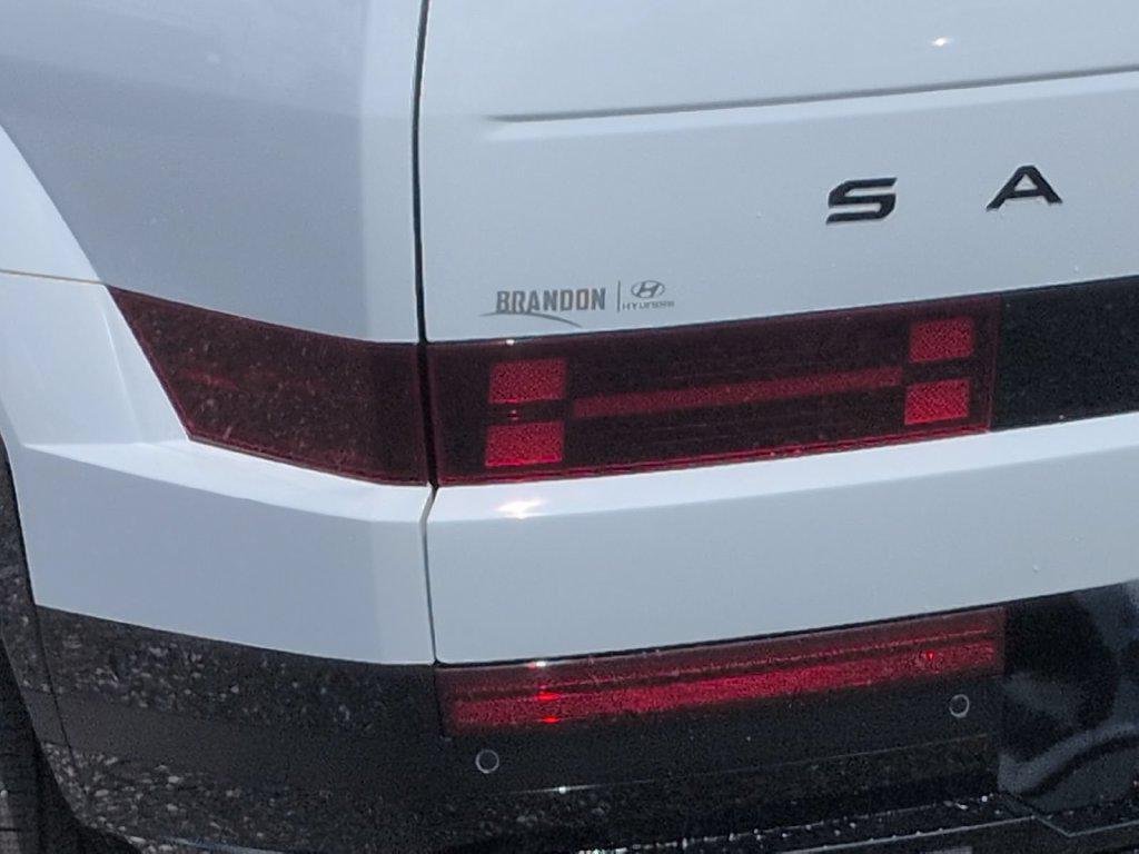 New 2027 White Hyundai Calligraphy image 8
