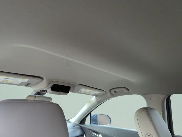 Used 2019 Blue Cadillac Luxury image 30