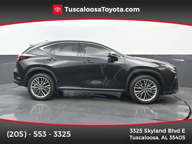 2026 Lexus NX 350h 350h Luxury AWD's photo