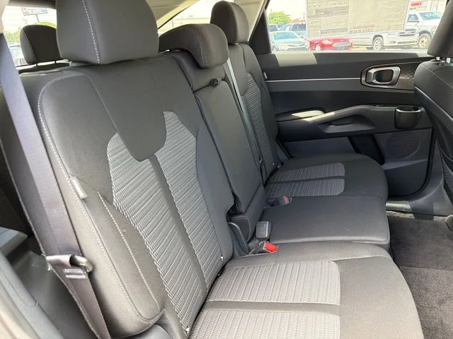New 2026 Panthera Metal Kia LX image 22