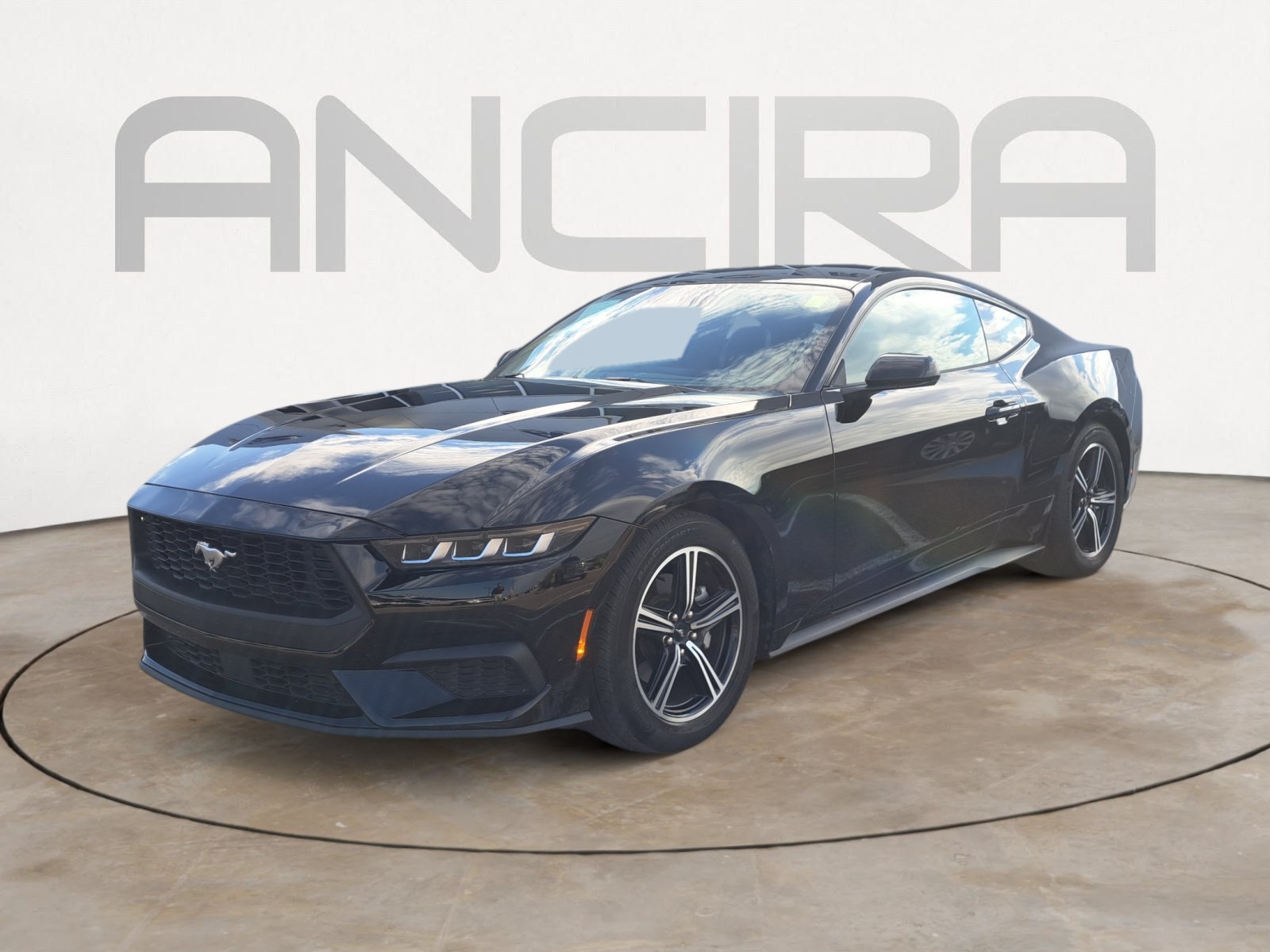 Used 2024 Shadow Black Ford EcoBoost image 5