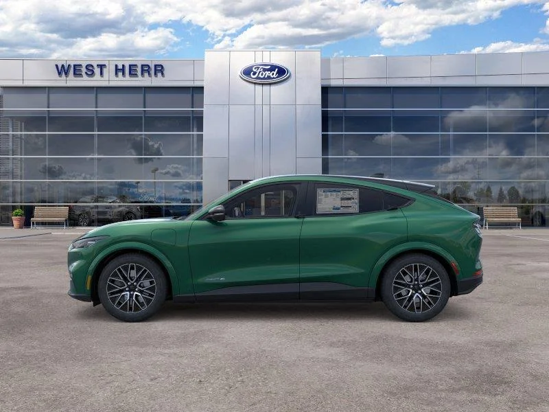 New 2026 Eruption Green Metallic Ford Premium image 4