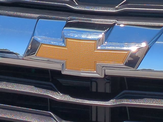 New 2026 Cacti Green Chevrolet LS image 26