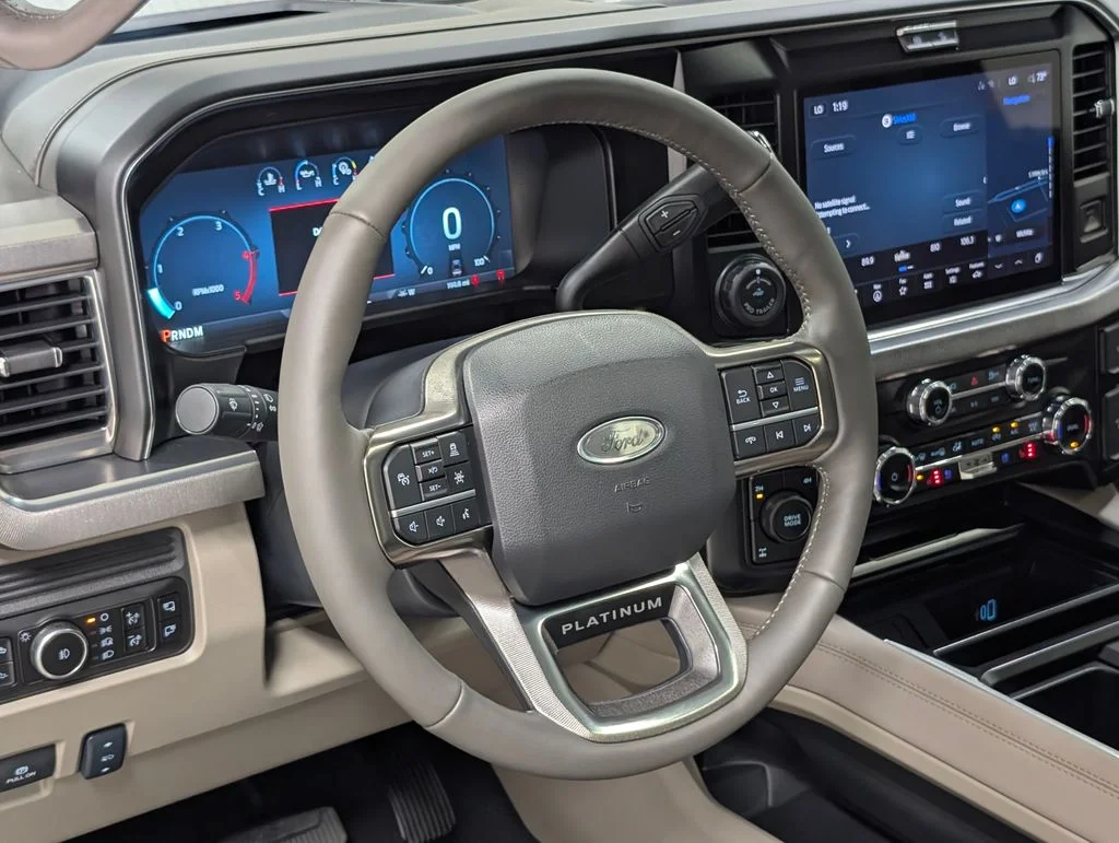 New 2026 Gray Ford Platinum image 14
