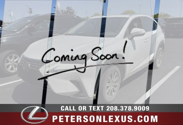 2019 Lexus NX 350 300 AWD's photo