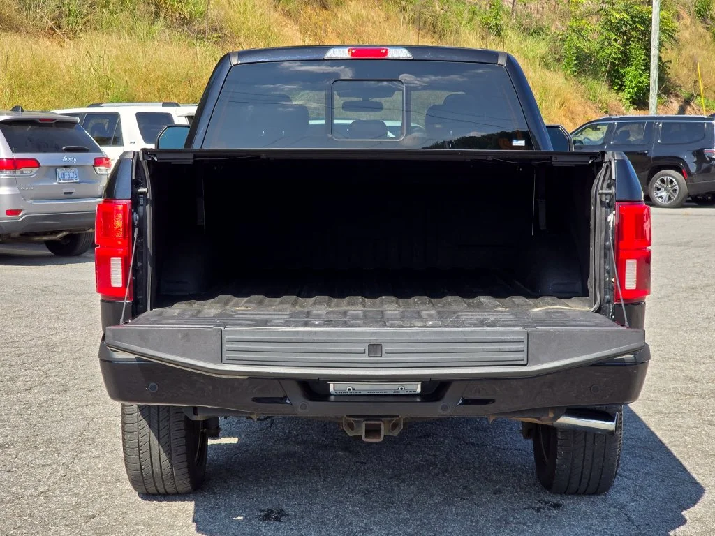 Used 2020 Black Ford Platinum image 14