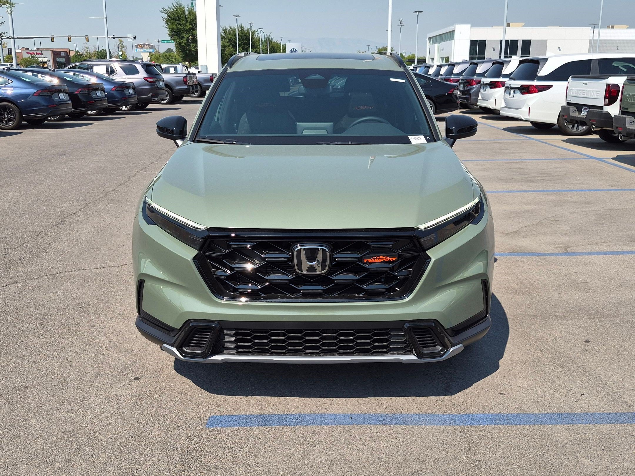 New 2026 Ash Green Metallic Honda TrailSport image 9