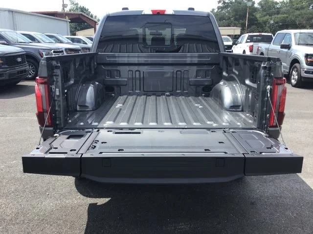 2025 Ford F-150 Platinum - Photo 23