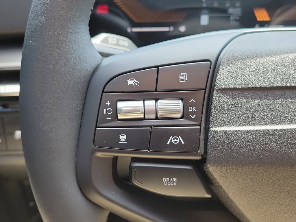 New 2026 Panthera Metal Kia EX image 28