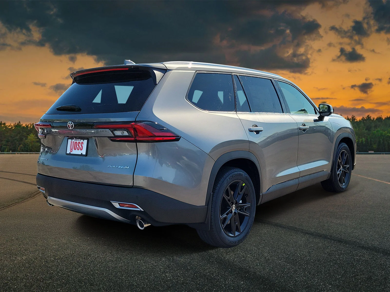 New 2026 Heavy Metal Toyota MAX Platinum image 4