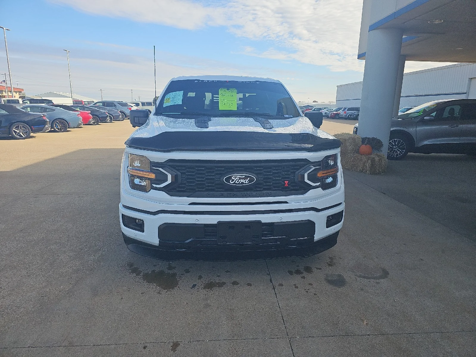 Used 2025 White Ford Black Widow Supercharged image 3