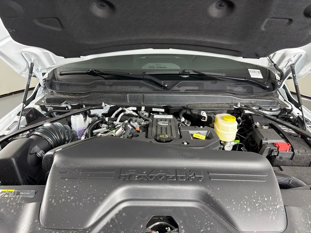 New 2026 White Ram Big Horn image 44