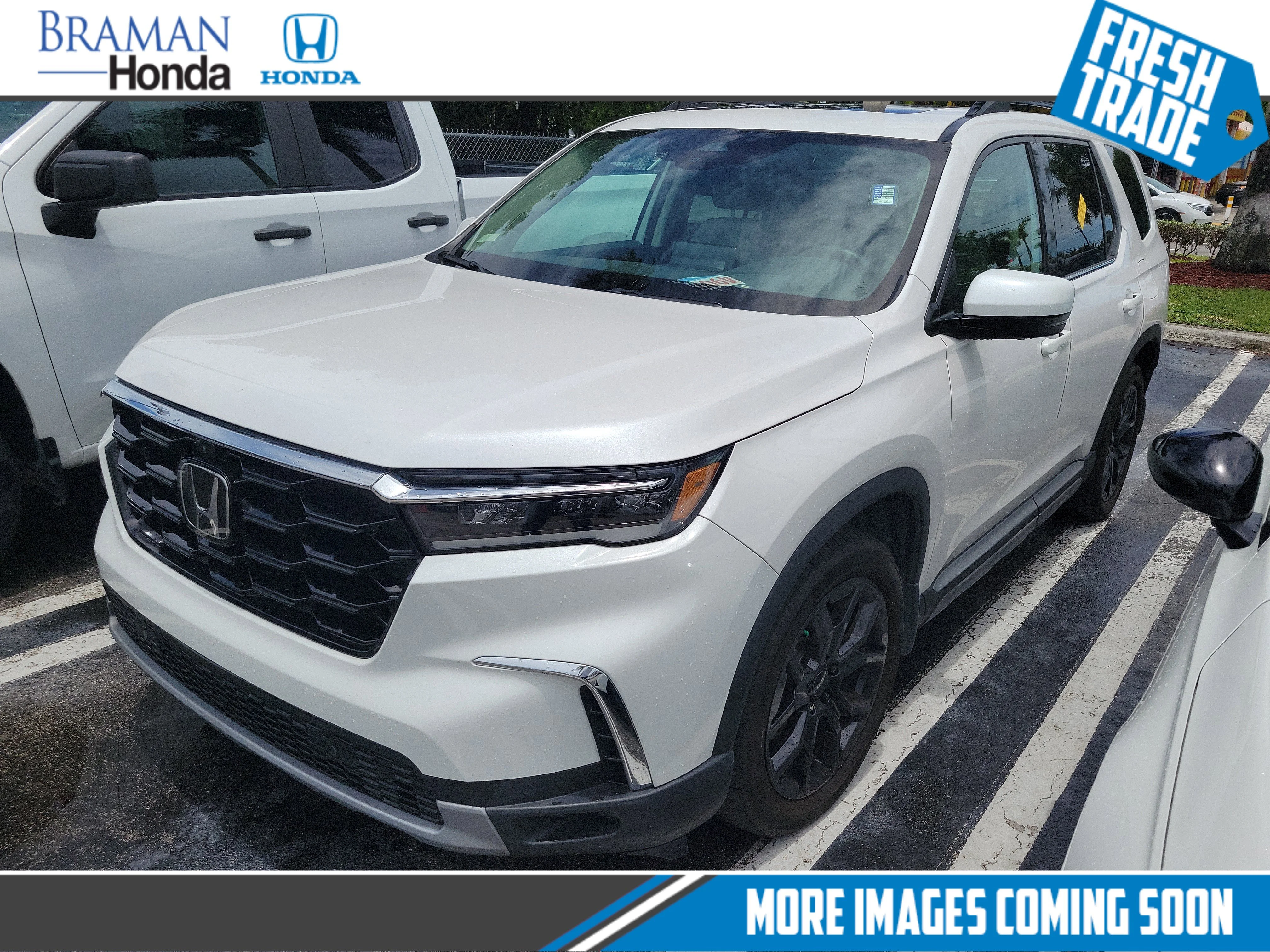2025 Honda Pilot Elite AWD's photo