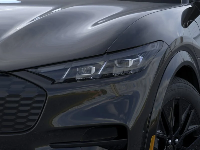 New 2026 Shadow Black Ford Premium image 18