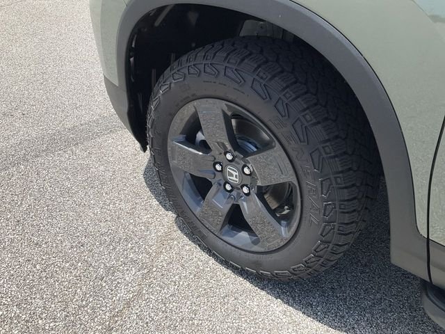 New 2026 Ash Green Metallic Honda TrailSport image 16