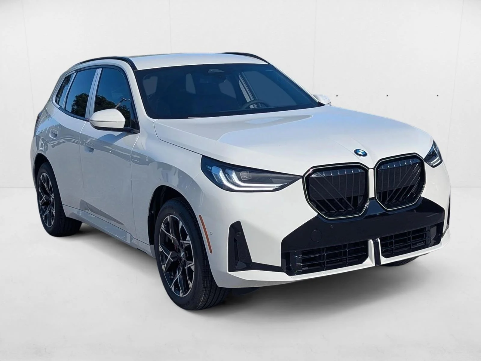 2026 BMW X3 30 - Photo 6
