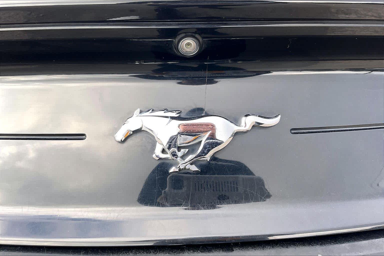 Used 2018 Shadow Black Ford EcoBoost Premium image 30